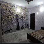 White House Hostel